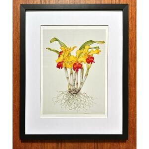 Framed Yellow amber glow Flowers Botanical Wall Art 11x14